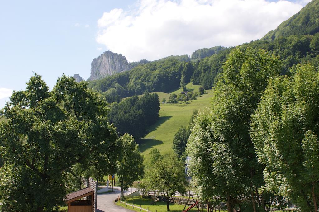 Hotel Apartment Auwirt Hallein Buitenkant foto