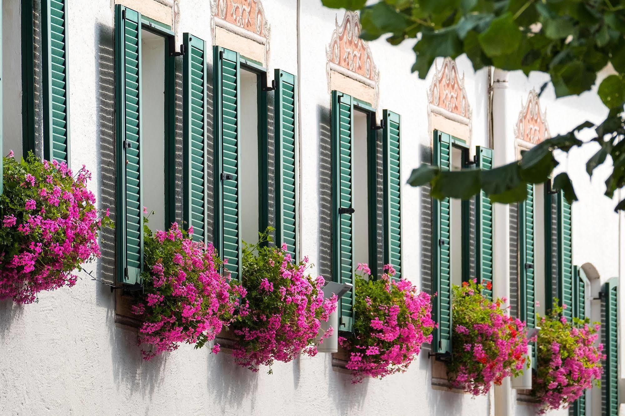 Hotel Apartment Auwirt Hallein Buitenkant foto