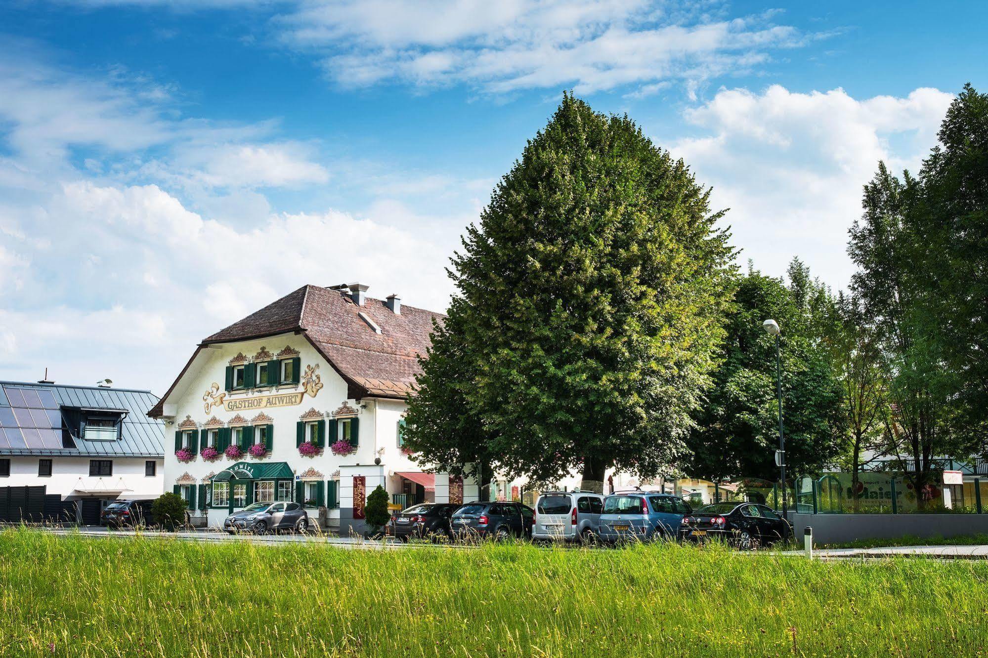 Hotel Apartment Auwirt Hallein Buitenkant foto