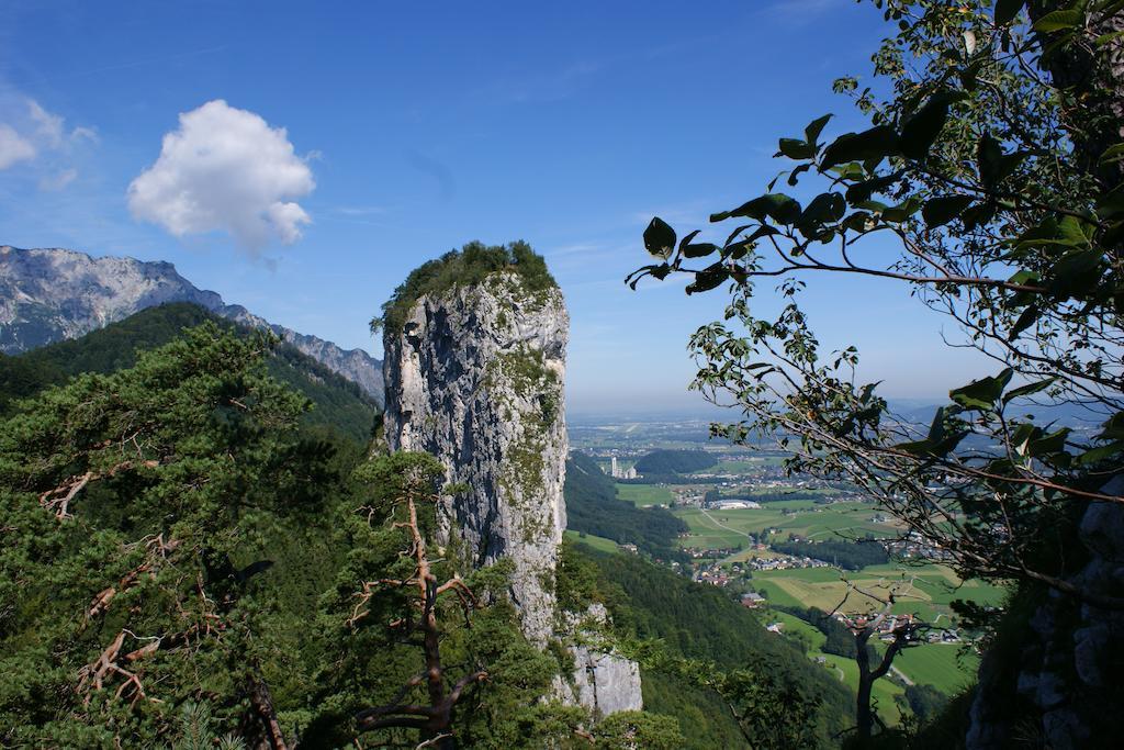 Hotel Apartment Auwirt Hallein Buitenkant foto